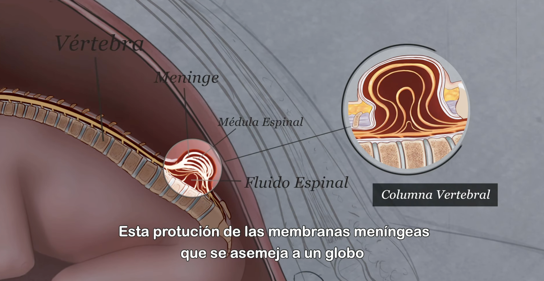 Captura de pantalla 2026-02-12 a la(s) 3.04.15 p. m.